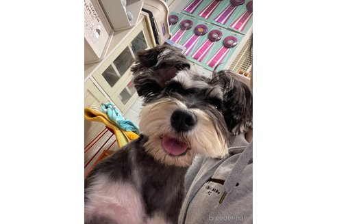 ぼーちゃんちゃん1枚目